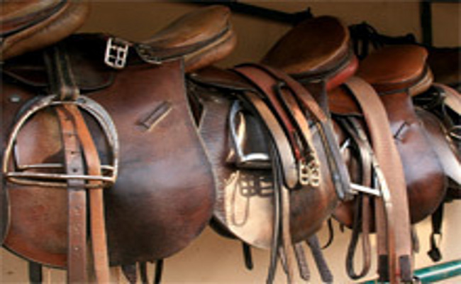 Equestrian industry